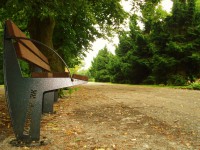 /album/fotogalerie-borsky-park-hriste-pro-deti/borsky-park11-jpg/